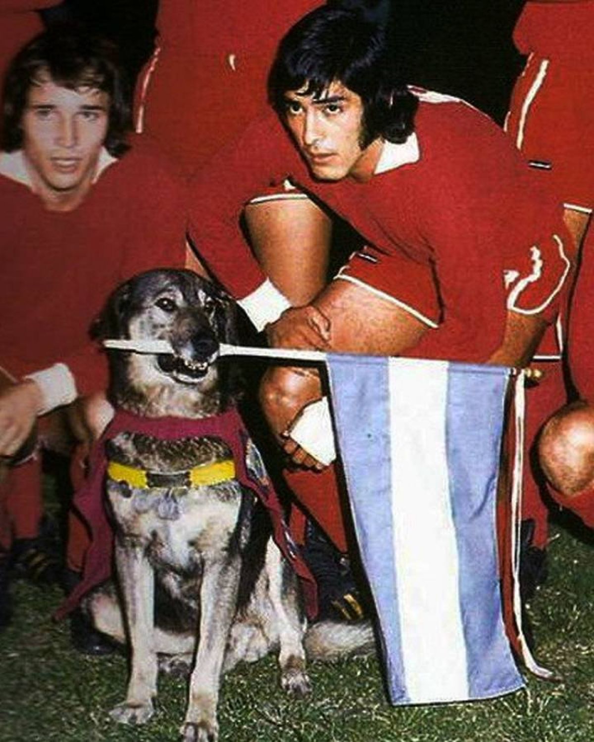 En el #DíaDelAnimal, imposible no recordar a Boneco de Lolo.